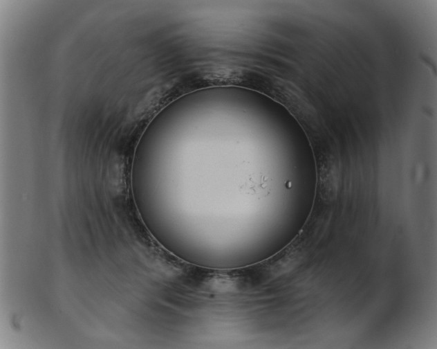 X0000103460416200809121608