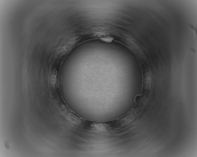 X0000103460417200809121608