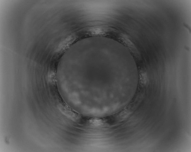 X0000103460419200809121608
