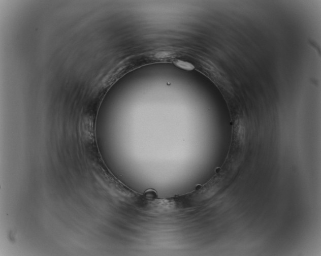 X0000103460421200809121608