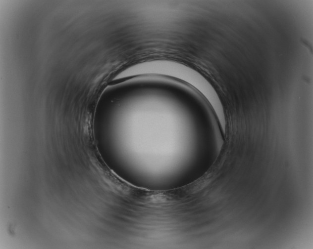 X0000103460423200809121608