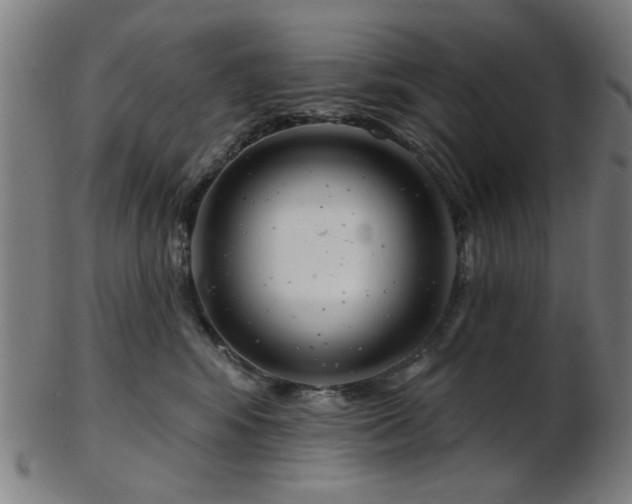 X0000103460424200809121608