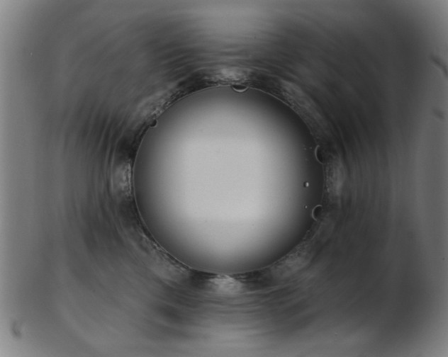 X0000103460425200809121608