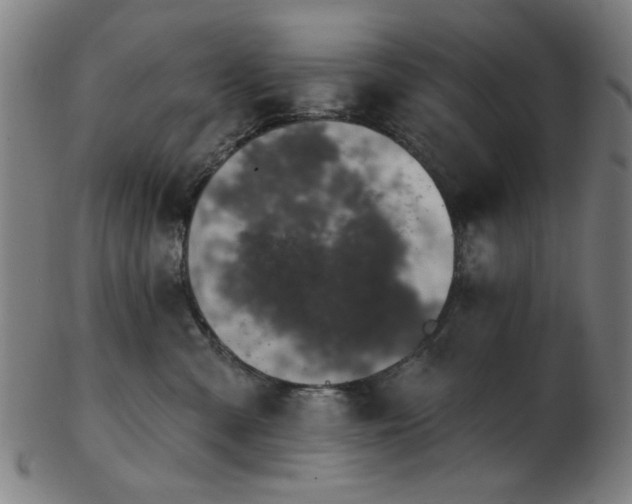 X0000103460427200809121608