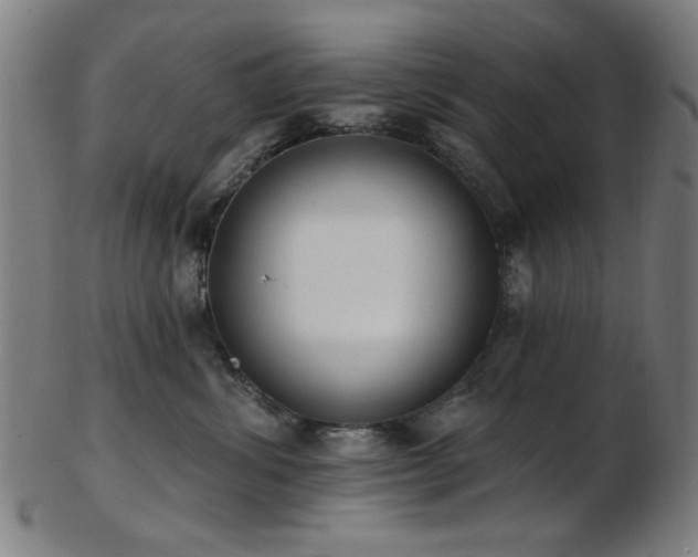 X0000103460428200809121608