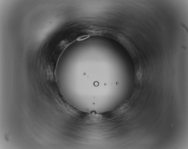 X0000103460429200809121608