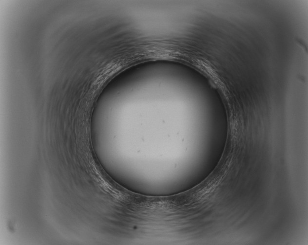 X0000103460433200809121607