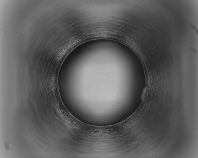 X0000103460434200809121607