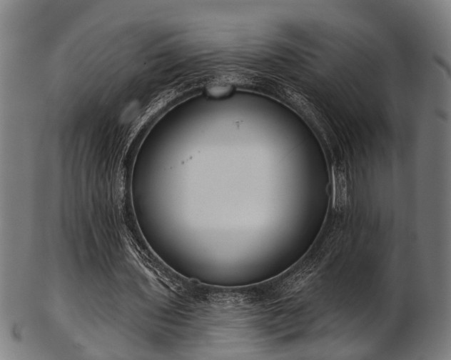 X0000103460435200809121607