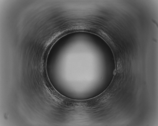 X0000103460436200809121607