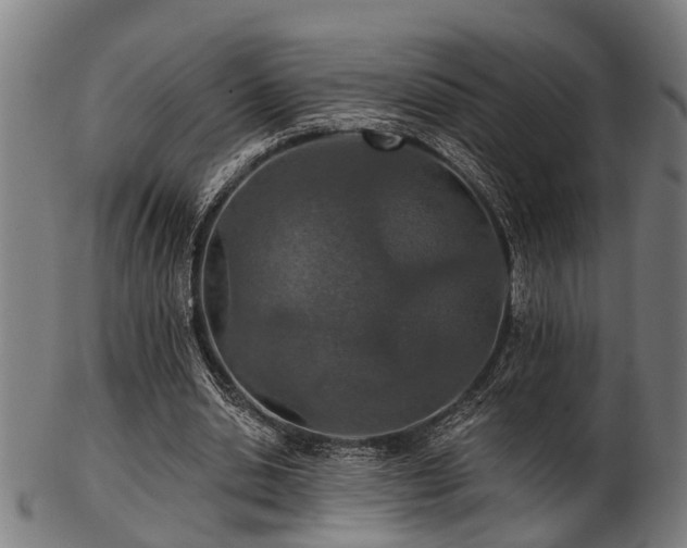 X0000103460438200809121607
