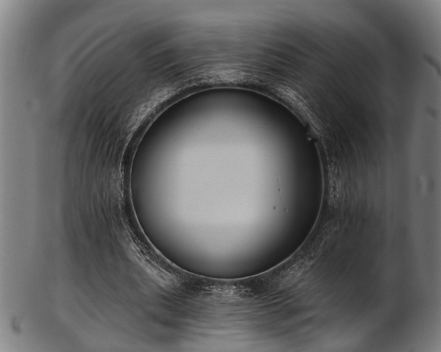 X0000103460439200809121607