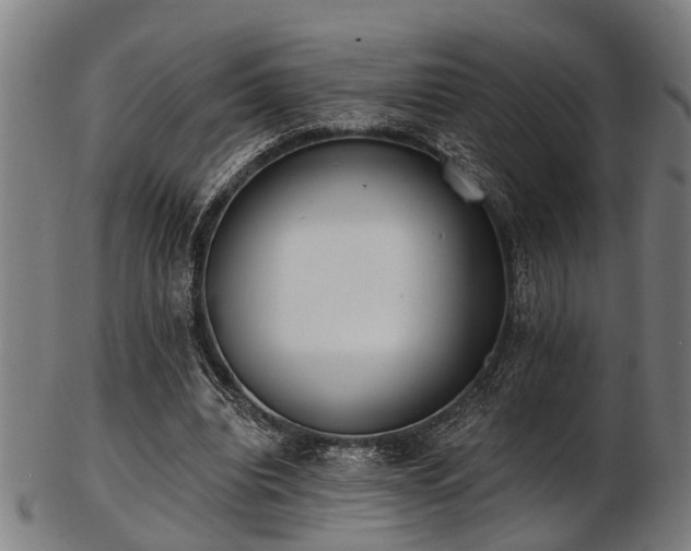 X0000103460440200809121607