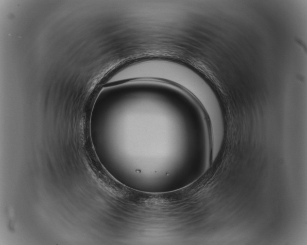 X0000103460444200809121607