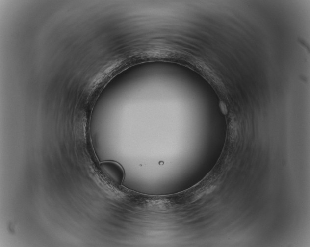 X0000103460446200809121607