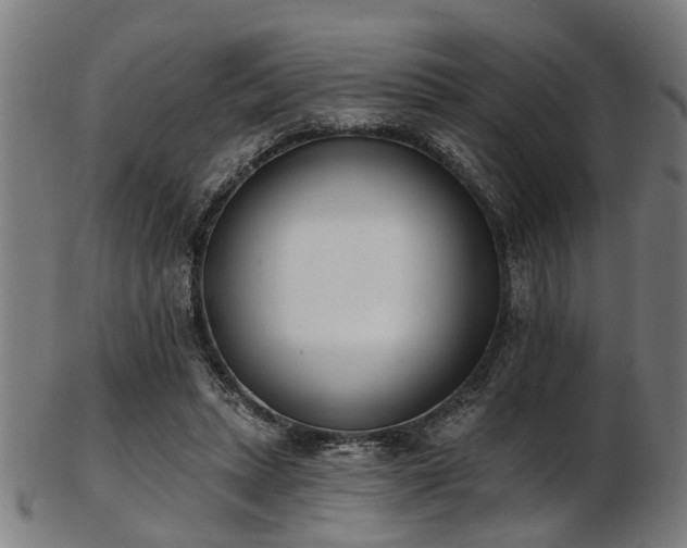 X0000103460447200809121607