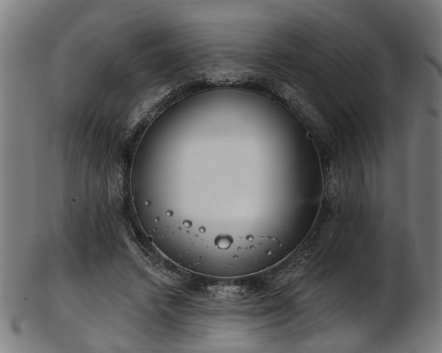 X0000103460448200809121607