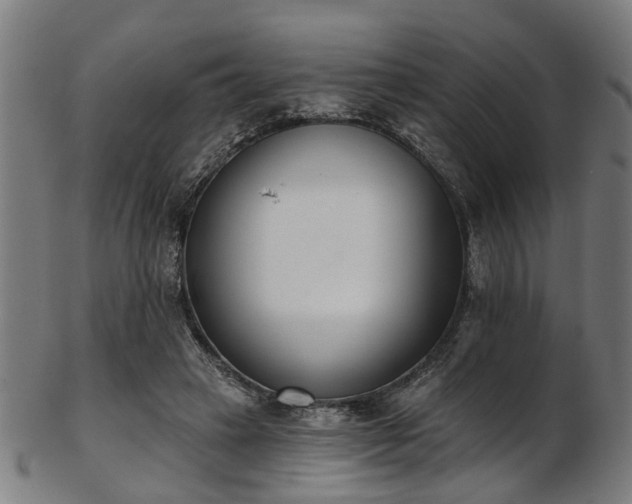 X0000103460449200809121607