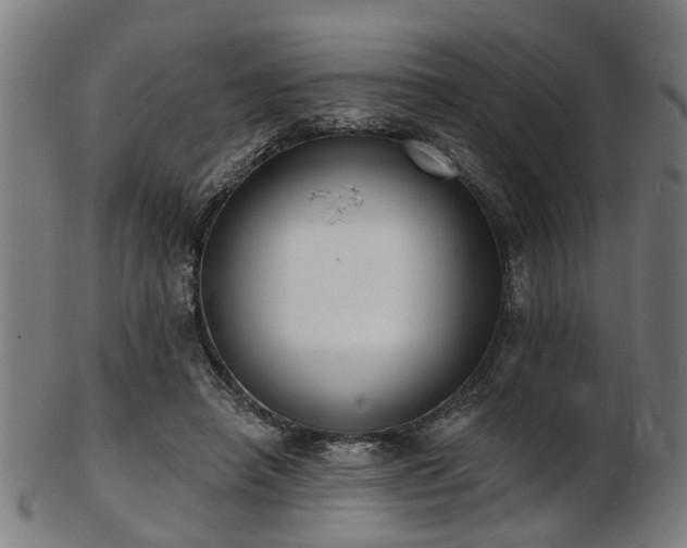 X0000103460450200809121607