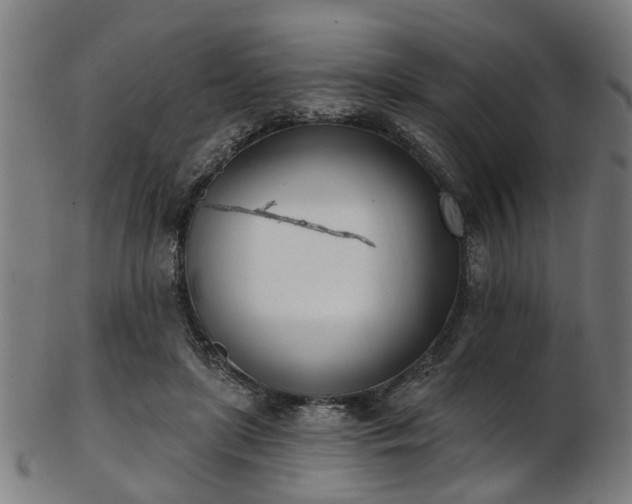 X0000103460451200809121607