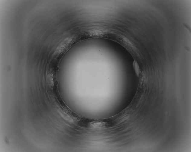 X0000103460452200809121607