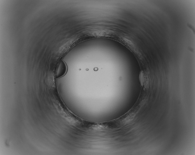X0000103460453200809121607