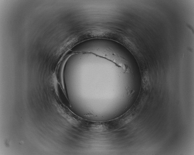 X0000103460454200809121607