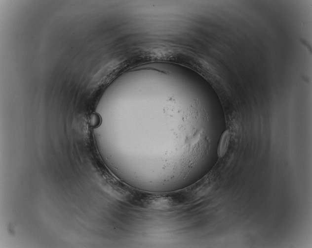 X0000103460456200809121607