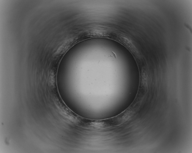 X0000103460457200809121607