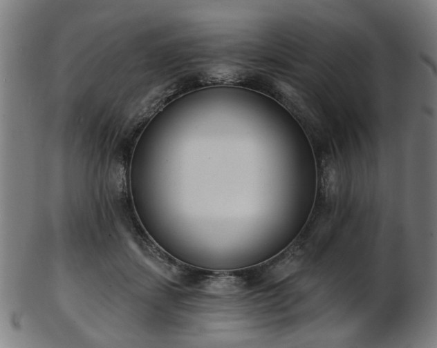 X0000103460459200809121608
