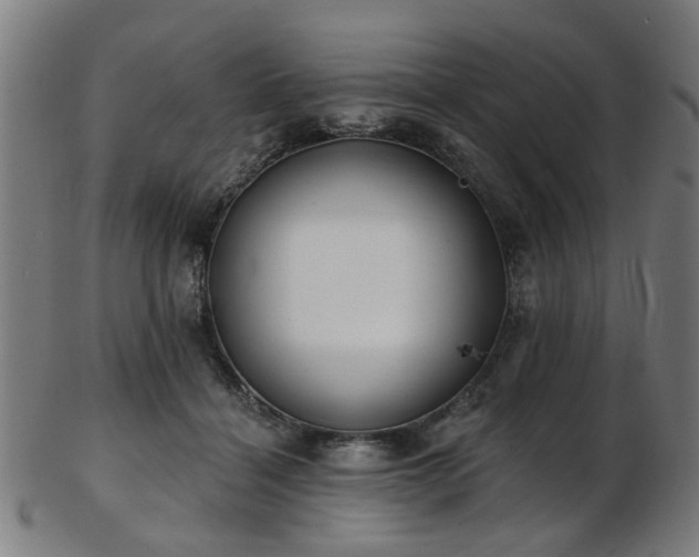 X0000103460460200809121608