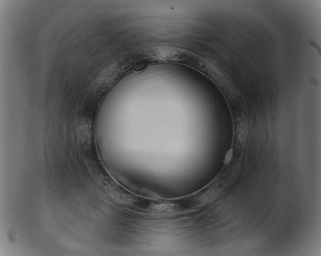 X0000103460461200809121608