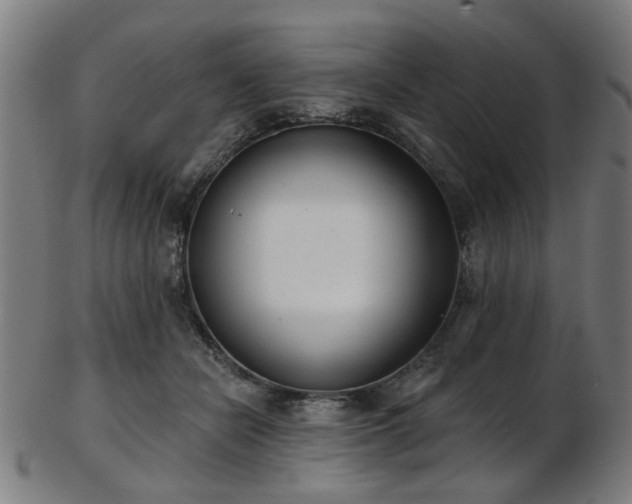 X0000103460462200809121608