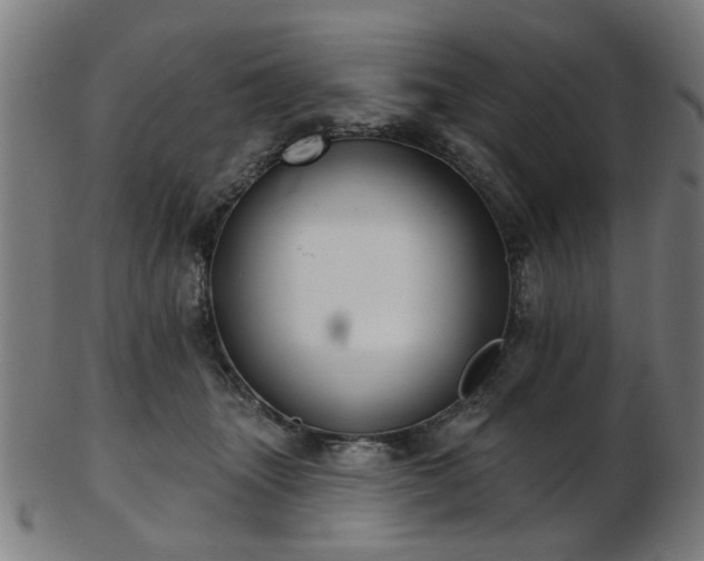 X0000103460463200809121608