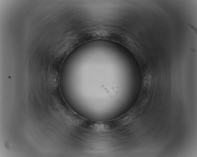 X0000103460464200809121608