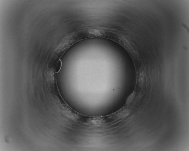 X0000103460466200809121608