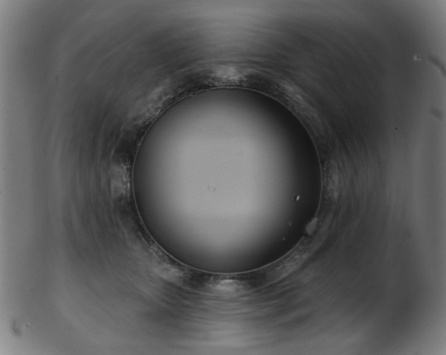 X0000103460467200809121608