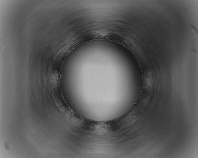 X0000103460468200809121608