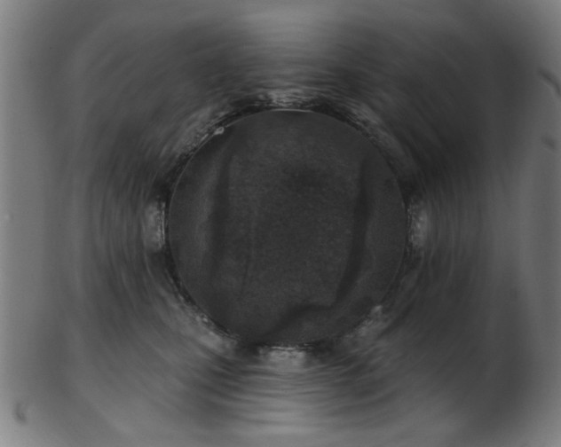 X0000103460471200809121608