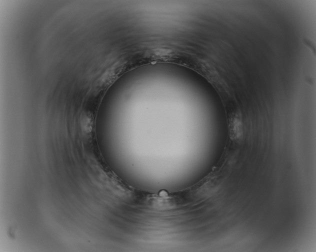 X0000103460472200809121608