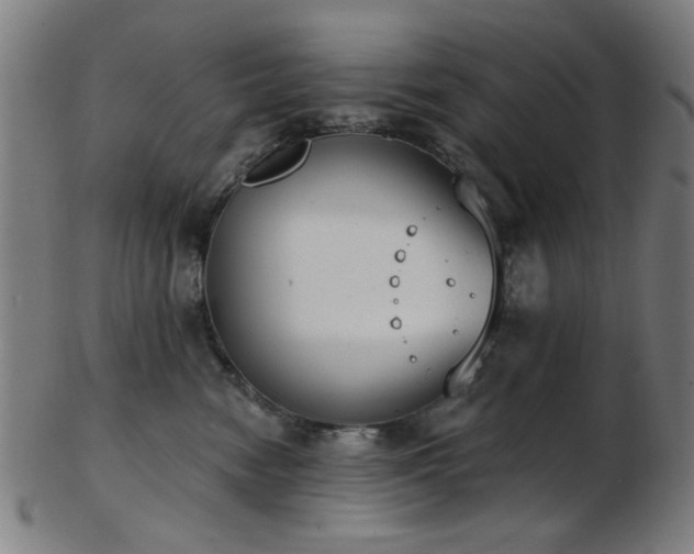 X0000103460474200809121608