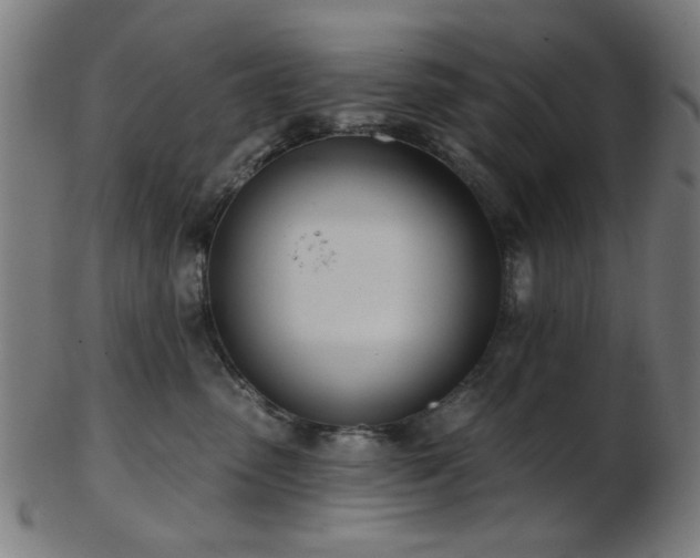 X0000103460475200809121608