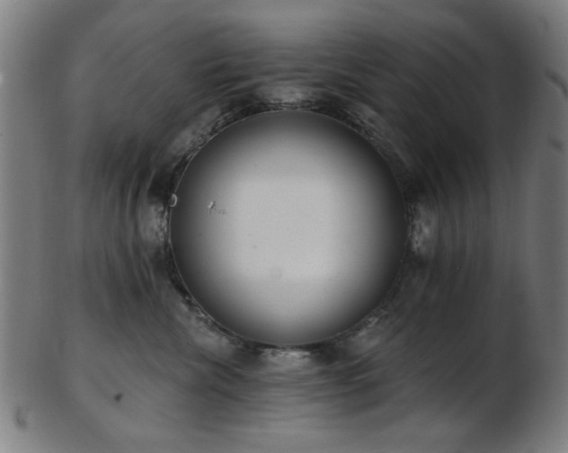 X0000103460476200809121608