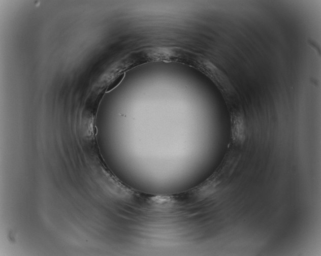 X0000103460477200809121608
