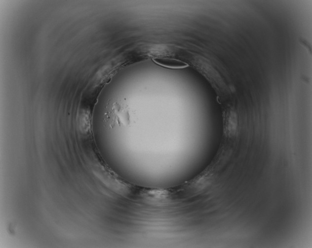 X0000103460478200809121608