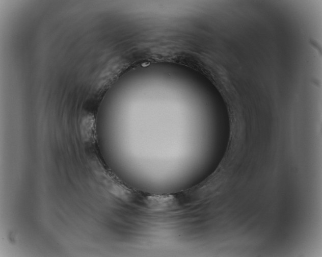 X0000103460480200809121608