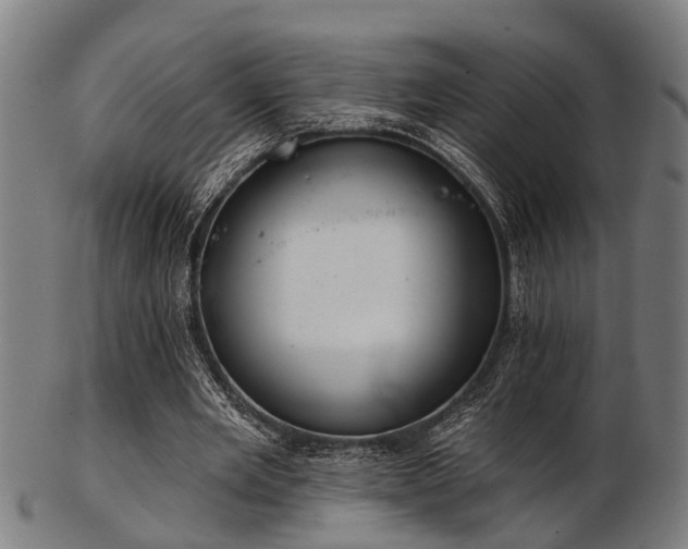 X0000103460485200809121607