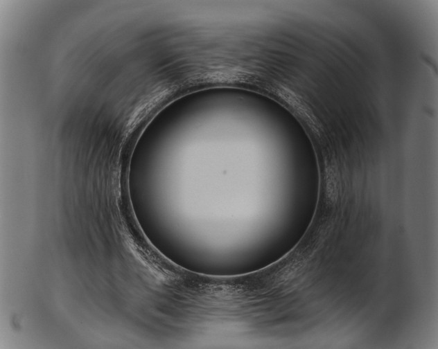 X0000103460486200809121607