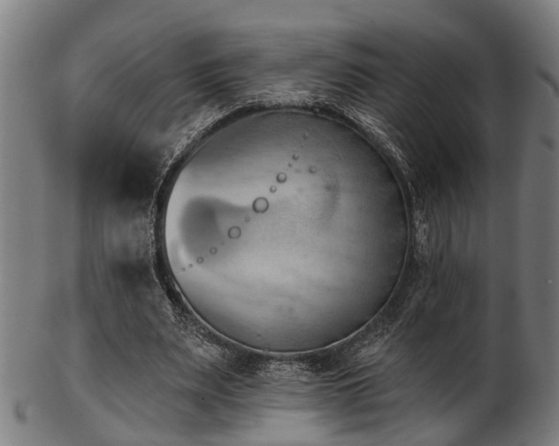 X0000103460487200809121607