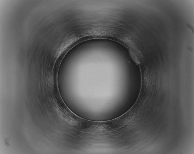 X0000103460488200809121607